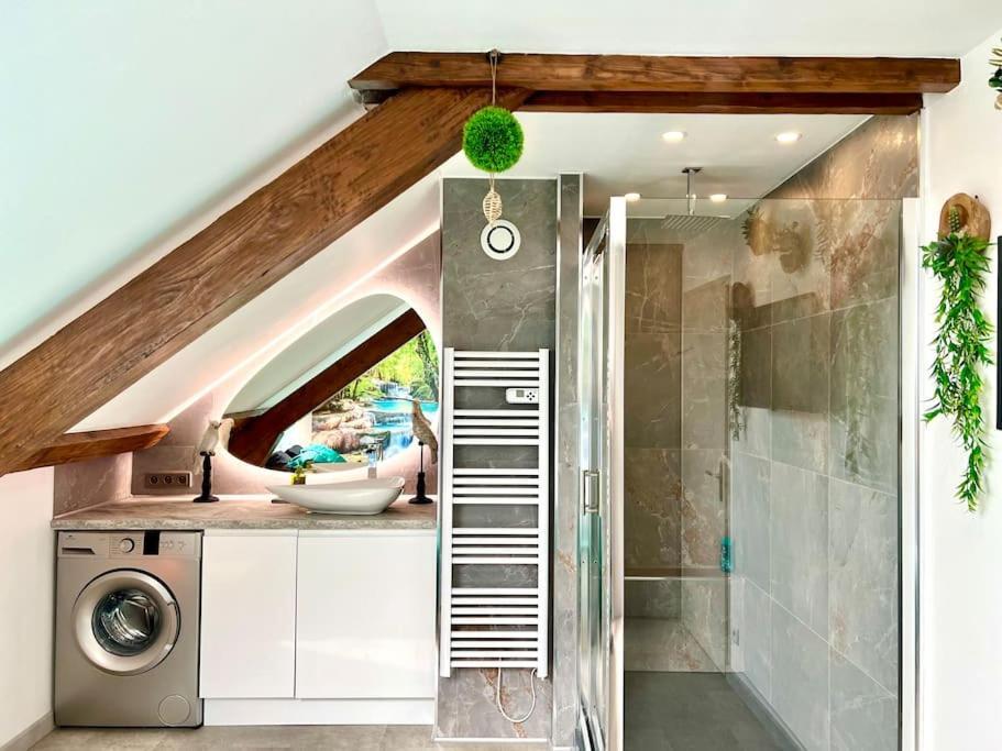 Natural Suite - Proche Gare - 4P Belfort Exterior photo
